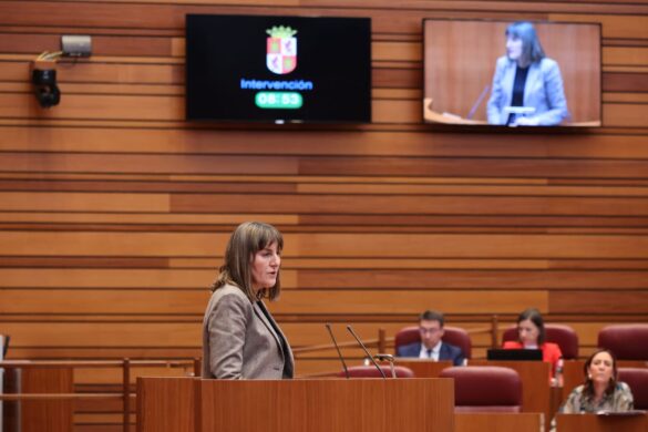 El Psoe Denuncia Las Presiones Y Amenazas De La Junta Al Cermi La